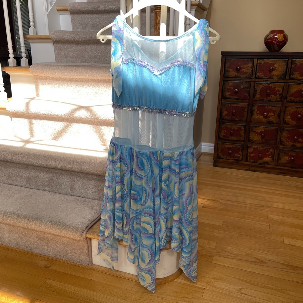 Dansco Dance Costume